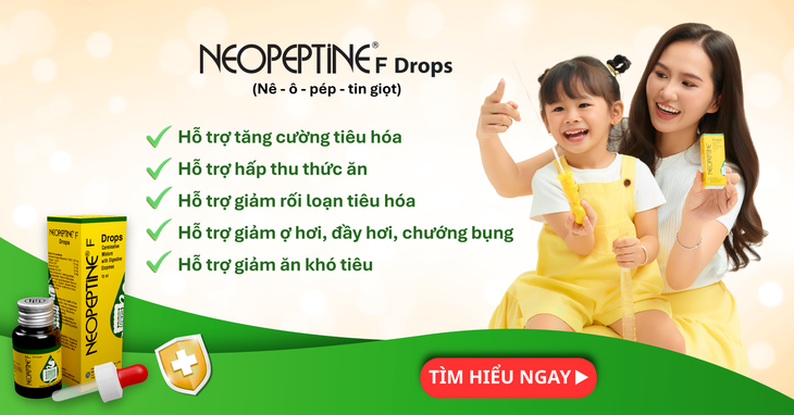 Giải pháp hỗ trợ tăng cường tiêu hóa và hấp thu thức ăn, hỗ trợ giảm rối loạn tiêu hóa, ợ hơi, đầy hơi, chướng bụng, ăn khó tiêu- Ảnh 2.