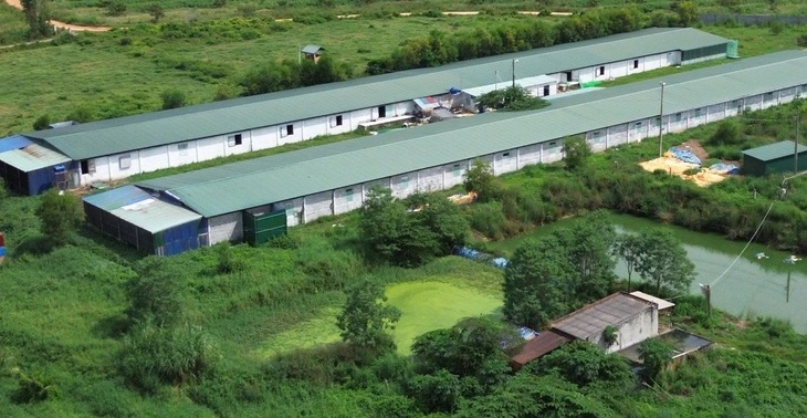 Trang trại nuôi vịt bị phạt 300 triệu đồng vẫn tiếp tục gây ô nhiễm- Ảnh 1.