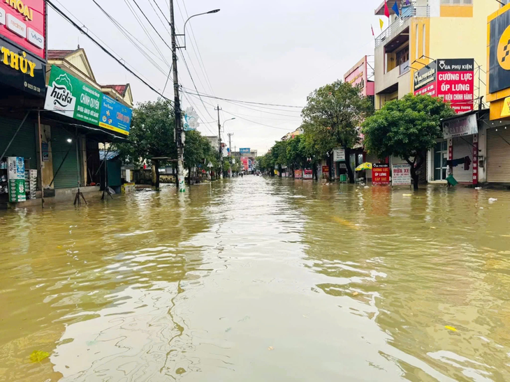Quảng Trị ngập sâu, đất đá vùi lấp nhiều chuồng trại, ruộng đồng- Ảnh 8.