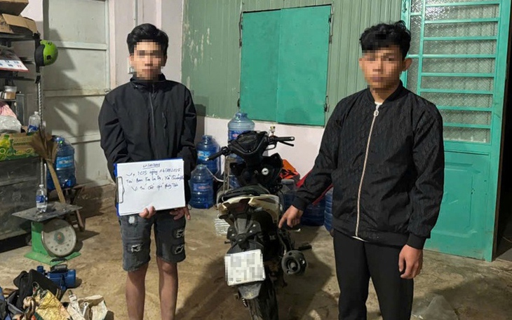 Bắt 2 thiếu niên 16 tuổi gây ra 4 vụ trộm cắp ở Lâm Đồng