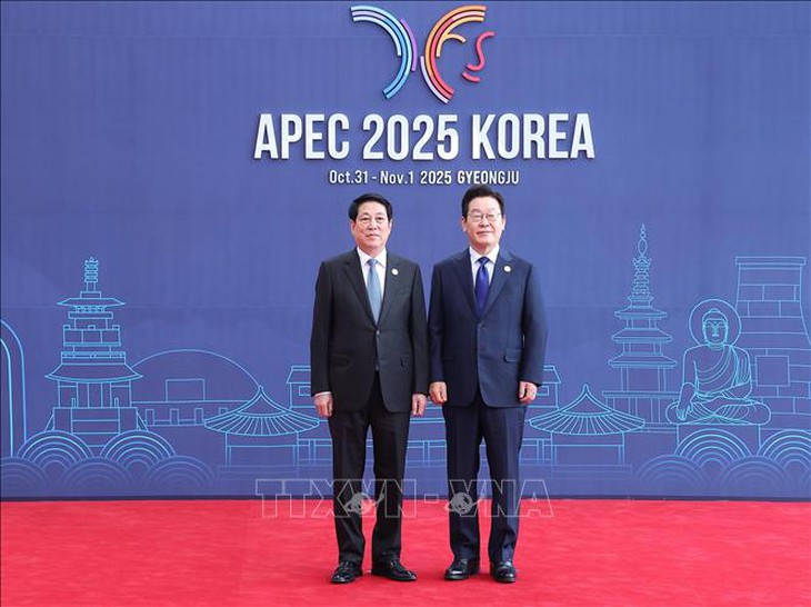 Chủ tịch nước Lương Cường dự Hội nghị Cấp cao APEC lần thứ 32- Ảnh 11.