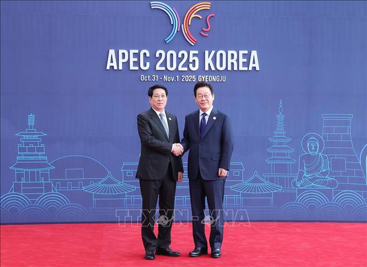 Chủ tịch nước Lương Cường dự Hội nghị Cấp cao APEC lần thứ 32- Ảnh 9.