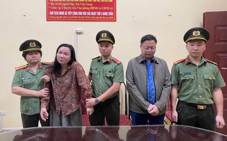 Hà Tĩnh chấm dứt hoạt động dự án mỏ sắt Thạch Khê- Ảnh 2.