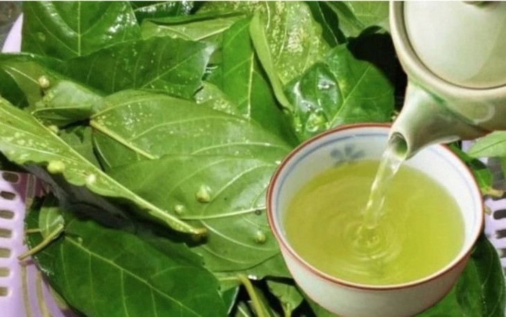 Uống lá sung khô hàng ngày có tốt không?- Ảnh 1. Uống lá sung khô hàng ngày có tốt không?- Ảnh 1.