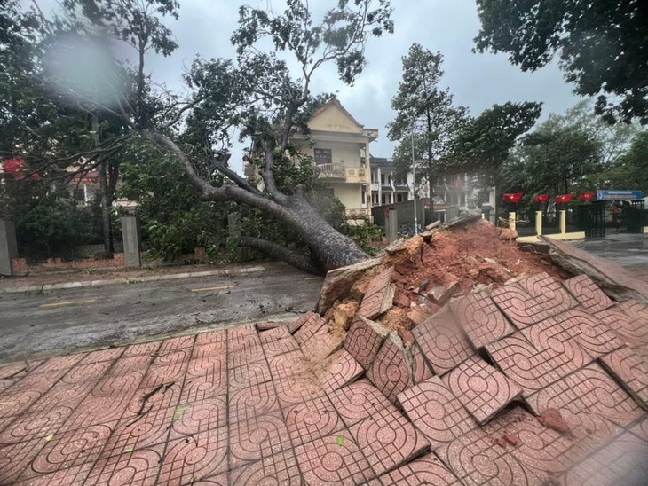 Đêm nay đến trưa mai là thời điểm gió mạnh nhất khi bão Matmo đổ bộ nước ta- Ảnh 2.