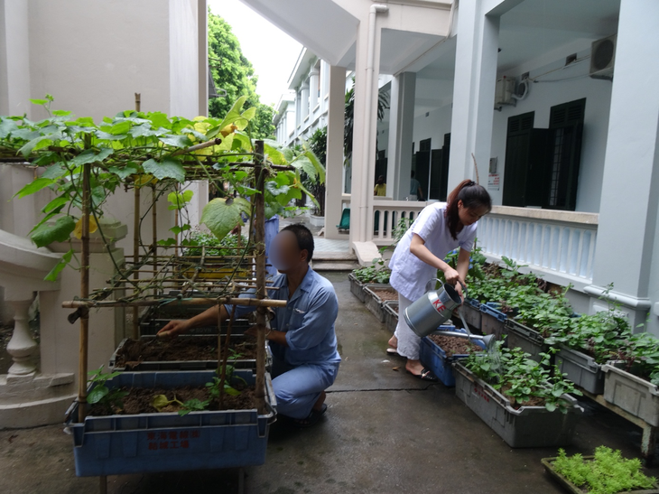 Phát hiện và điều trị rối loạn hoang tưởng: Cần sự kết hợp y tế và xã hội- Ảnh 1.