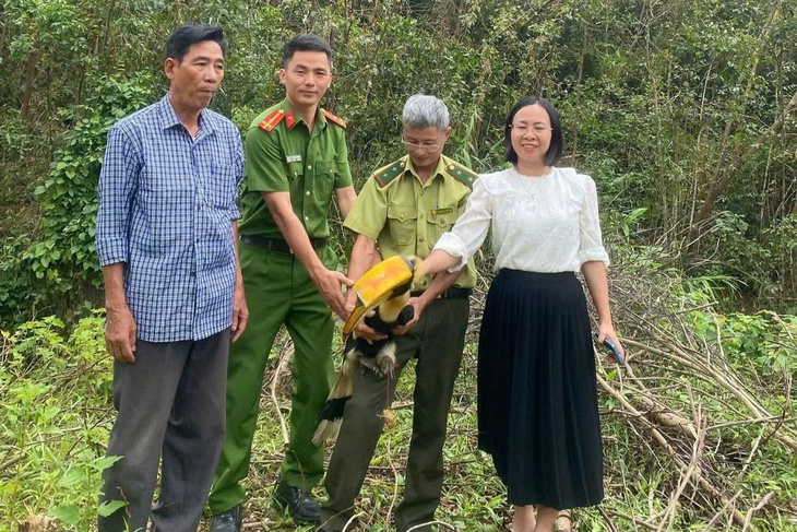 Chim hồng hoàng quý hiếm xuất hiện ở khu dân cư- Ảnh 1.
