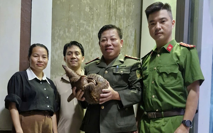 Phát hiện loài động vật quý hiếm trong Sách đỏ đi lạc giữa phố, người đàn ông bàn giao cơ quan chức năng