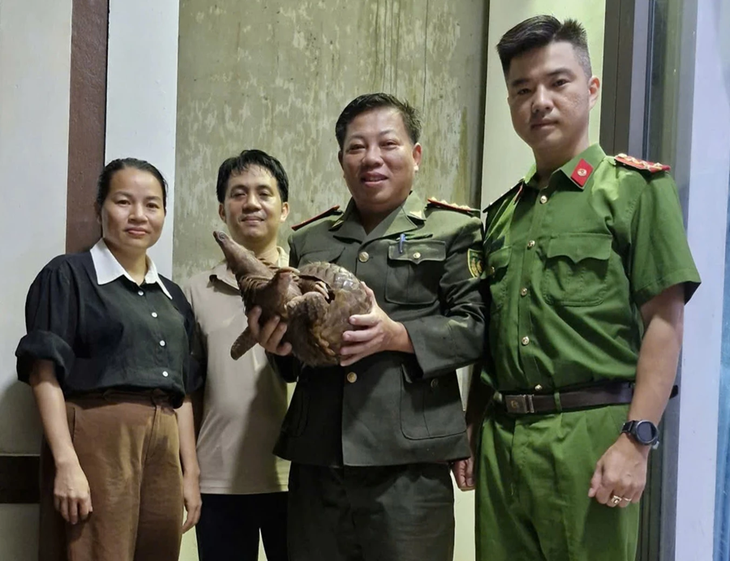 Phát hiện loài động vật quý hiếm trong Sách đỏ đi lạc giữa phố, người đàn ông bàn giao cơ quan chức năng- Ảnh 1.