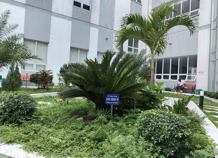 Bệnh viện Đa khoa An Giang, mỗi túi rác, một quy trình an toàn- Ảnh 3.