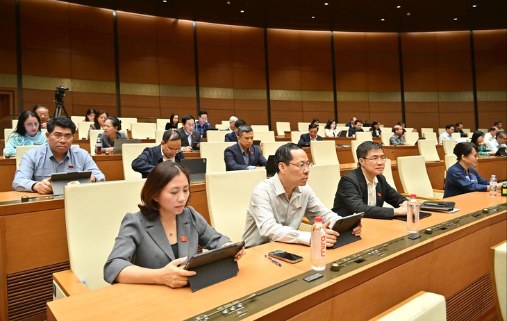 ĐBQH đề nghị phụ nữ sinh đủ 2 con, không giới hạn độ tuổi đều được hưởng chính sách dân số- Ảnh 3.