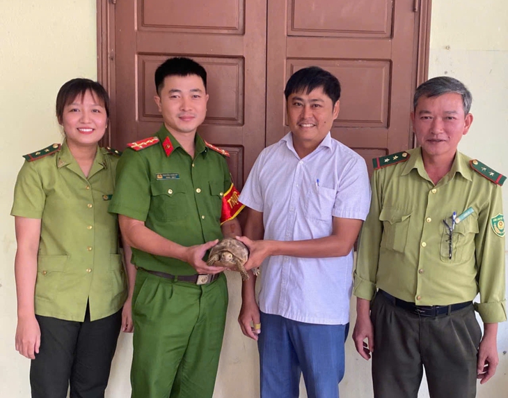 Rùa quý hiếm có nguy cơ tuyệt chủng bò vào nhà dân - Ảnh 1.
