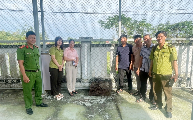 Rùa quý hiếm có nguy cơ tuyệt chủng bò vào nhà dân - Ảnh 3.