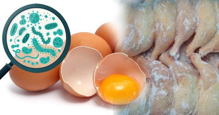 Vì sao bánh mì dễ nhiễm vi khuẩn Salmonella, cách phòng ngừa ngộ độc?- Ảnh 3.