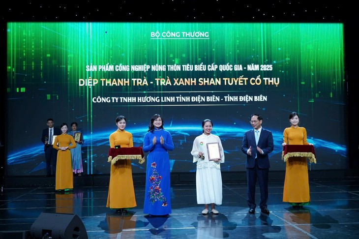 Hành trình biến đam mê trà Shan tuyết thành hiện thực của cô gái 9X- Ảnh 3.