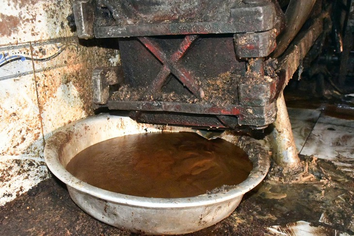 Phát hiện công nhân đang chế biến mỡ động vật trong khu nghĩa trang- Ảnh 2.