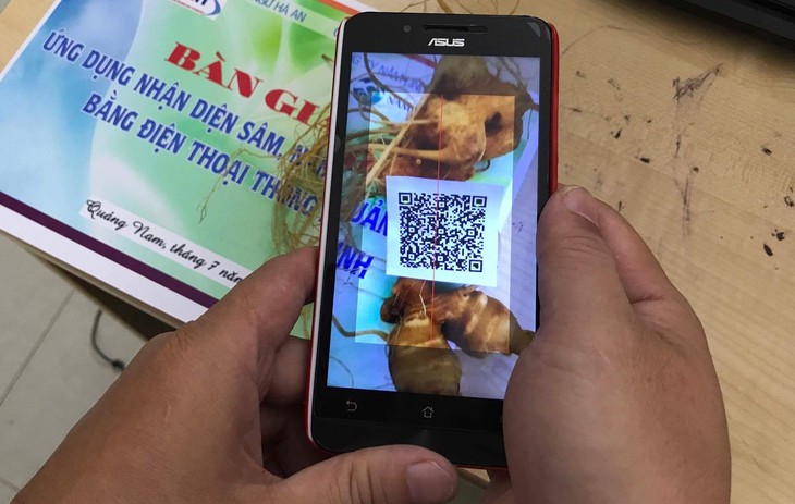 Xây dựng trung tâm sâm Ngọc Linh từ chế biến sâu và cuộc chiến bảo vệ thương hiệu- Ảnh 1.