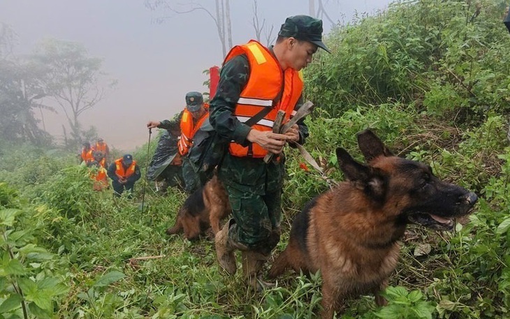 Đà Nẵng: Sử dụng chó nghiệp vụ tìm kiếm nạn nhân vụ sạt lở đất ở Hùng Sơn