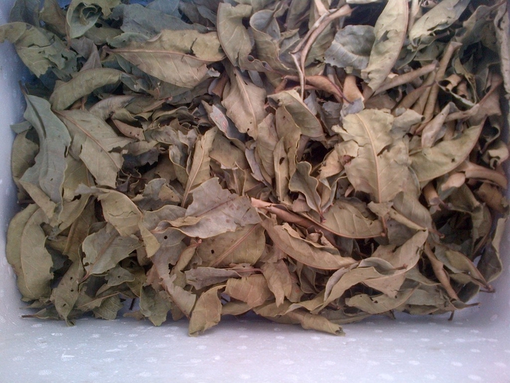 u-la-voi-kho