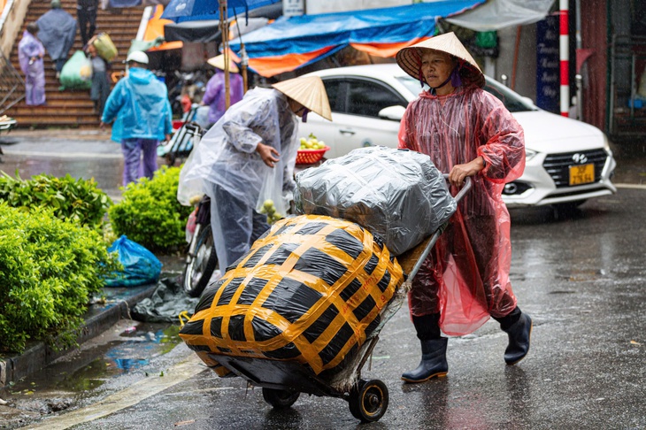 Bộ Nông nghiệp và Môi trường yêu cầu ứng phó khẩn với đợt rét hại - Ảnh 2.
Bộ Nông nghiệp và Môi trường yêu cầu ứng phó khẩn với đợt rét hại - Ảnh 2.