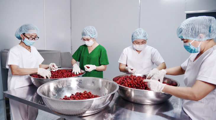 Mật Táo Đỏ Tâm An - Minh bạch và an toàn- Ảnh 1.