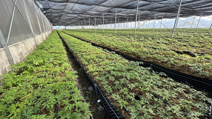 Cỏ Mềm 10 năm: hành trình đưa mỹ phẩm Việt vươn tầm quốc tế- Ảnh 2. Cỏ Mềm 10 năm: hành trình đưa mỹ phẩm Việt vươn tầm quốc tế- Ảnh 2.