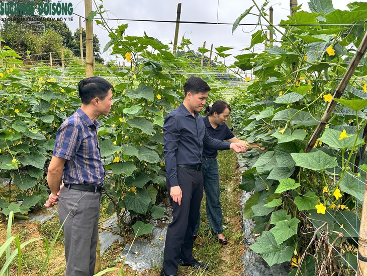 Góp ý kiến vào dự thảo văn kiện Đại hội XIV: Bản làng đổi thay từng ngày- Ảnh 3.