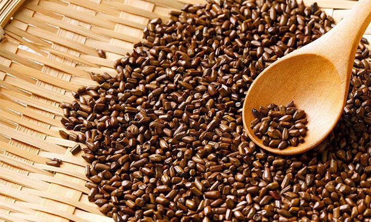 Hạt muồng chữa bệnh gì?- Ảnh 1. Hạt muồng chữa bệnh gì?- Ảnh 1.