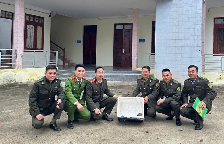 Phát hiện động vật ‘mắc cỡ' quý hiếm trong sách đỏ giữa đồi keo- Ảnh 2. Phát hiện động vật ‘mắc cỡ' quý hiếm trong sách đỏ giữa đồi keo- Ảnh 2.