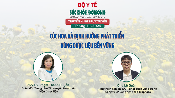 Truyền hình trực tuyến: Cúc hoa và định hướng phát triển vùng dược liệu bền vững- Ảnh 1.