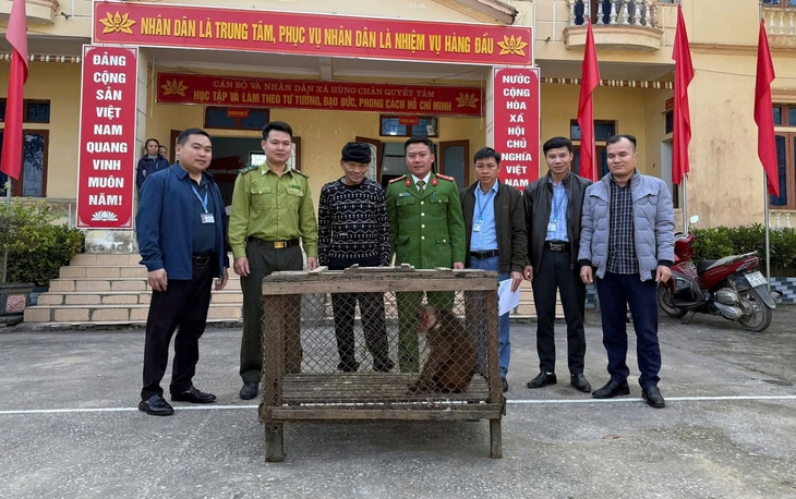 Người dân giao nộp khỉ mặt đỏ, khỉ mốc quý hiếm về rừng- Ảnh 1. Người dân giao nộp khỉ mặt đỏ, khỉ mốc quý hiếm về rừng- Ảnh 1.