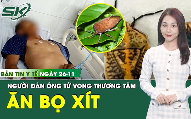 Bản tin Y tế 26/11: Bệnh nhân ngộ độc do ăn bọ xít tại Gia Lai đã tử vong