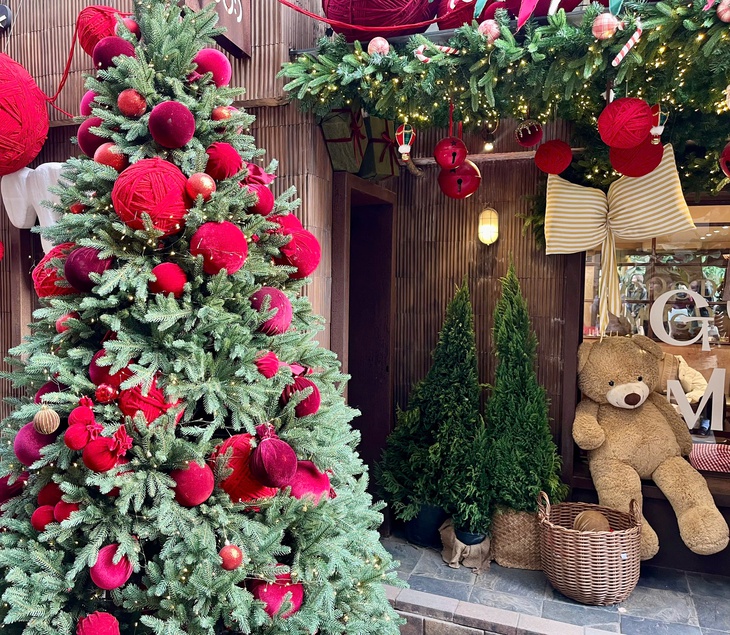 Ngõ nhỏ ở Hà Nội 'hút' giới trẻ trước mùa Giáng sinh- Ảnh 4. Ngõ nhỏ ở Hà Nội 'hút' giới trẻ trước mùa Giáng sinh- Ảnh 4.