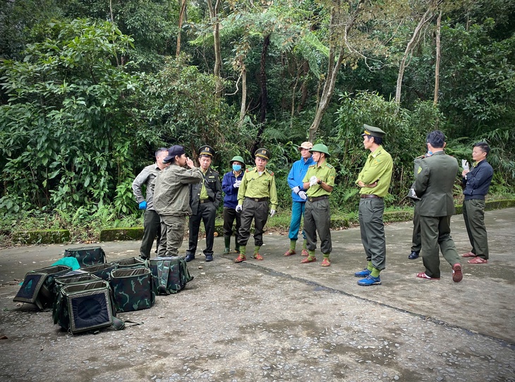 Hành trình ‘trở về nhà’ của những động vật quý hiếm có nguy cơ tuyệt chủng- Ảnh 1. Hành trình ‘trở về nhà’ của những động vật quý hiếm có nguy cơ tuyệt chủng- Ảnh 1.