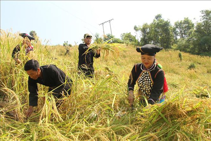 Những chính sách mới nổi bật có hiệu lực từ tháng 12/2025- Ảnh 1.