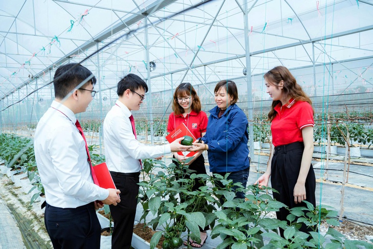 Agribank với trách nhiệm ESG toàn diện, từ 'vốn xanh' đến an sinh cộng đồng- Ảnh 1.