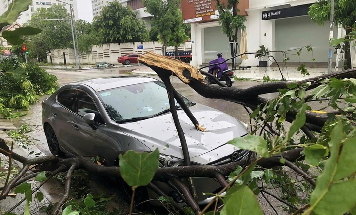 Chủ tịch UBND TPHCM chỉ đạo khẩn phòng, chống bão Kalmaegi- Ảnh 1.