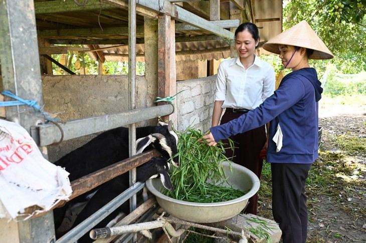 Hà Tĩnh: Lan tỏa hiệu quả các mô hình sinh kế, góp phần giảm nghèo bền vững- Ảnh 1.