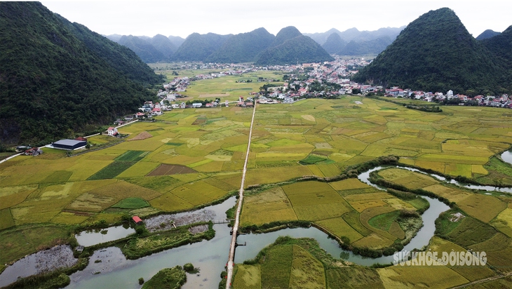 Bay trên lúa chín vàng ở làng du lịch tốt nhất thế giới- Ảnh 1.