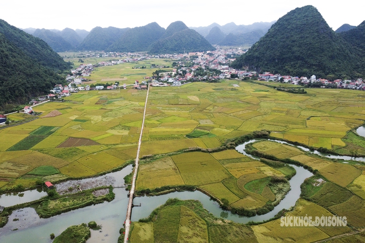 Người Tày Bắc Sơn thi gặt, đập lúa cổ truyền dưới chân Nà Lay- Ảnh 1.