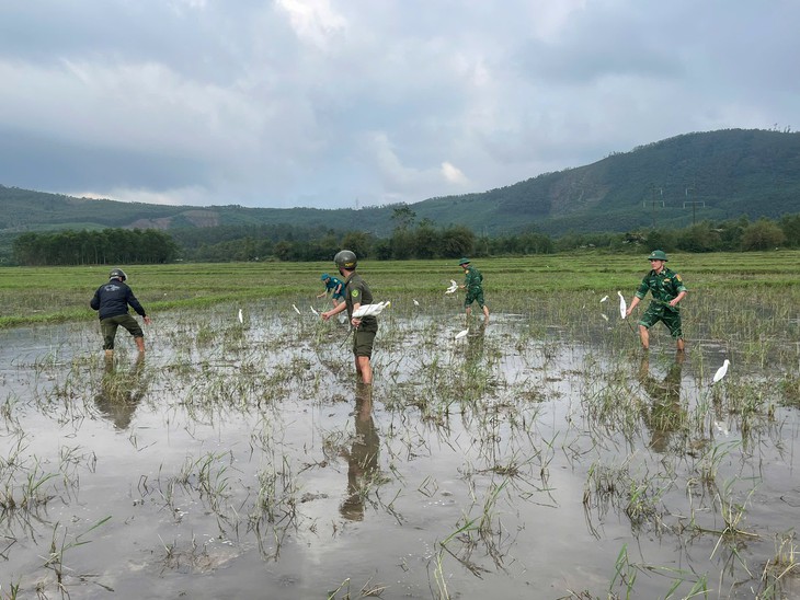 Tiêu hủy hơn 15.000m lưới bẫy chim trời ở Huế- Ảnh 1.