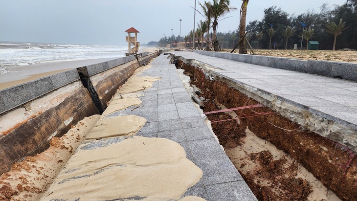 Biển 'ngoạm' bờ, phá tuyến kè hàng chục tỷ, 'ăn' dần rừng phi lao ở Quảng Trị- Ảnh 2.