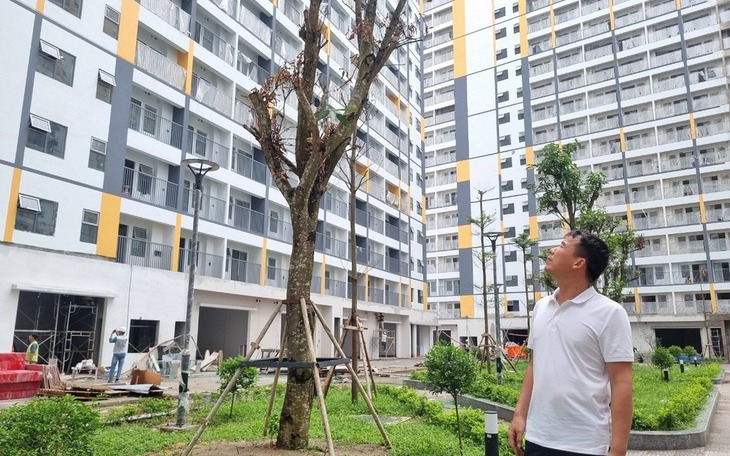 Người sinh 2 con trở lên chính thức được ưu tiên hưởng chính sách nhà ở xã hội từ 1/7/2026