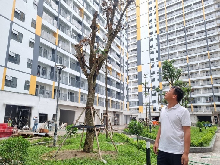 Người sinh 2 con trở lên chính thức được ưu tiên hưởng chính sách nhà ở xã hội từ 1/7/2026- Ảnh 1.