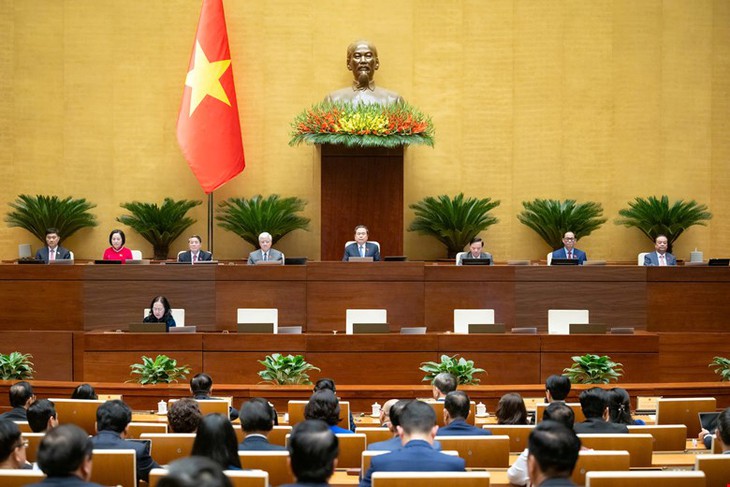 Kỳ họp Quốc hội thứ 10: Đột phá thể chế, an sinh xã hội và chiến lược sức khỏe toàn dân- Ảnh 2.
