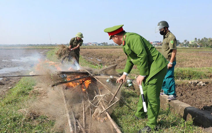 Truy quét hàng loạt vụ săn bắt, buôn bán động vật hoang dã