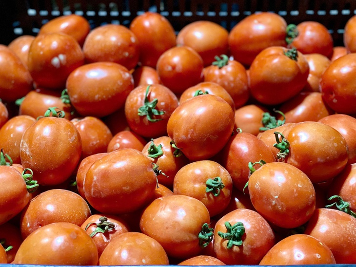 Loại quả trước chỉ vài nghìn đồng/kg, nay giá đắt đỏ ngang thịt khiến người mua hàng “choáng váng”- Ảnh 1.