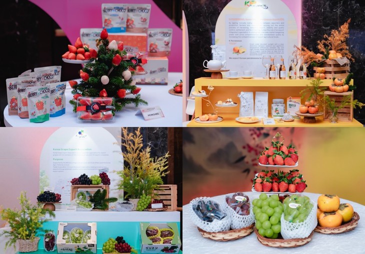 Premium K-Fresh Showcase & Tasting Event 2025: Tinh hoa trái cây cao cấp Hàn Quốc hội tụ tại Hà Nội- Ảnh 2.