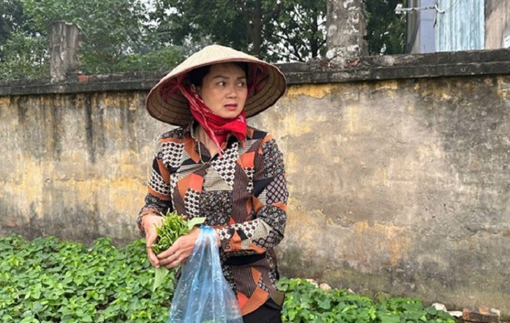 Đốt rác tự phát, nguyên nhân làm nghiêm trọng thêm ô nhiễm không khí- Ảnh 4.