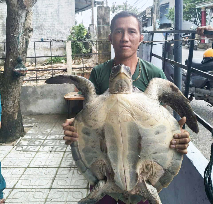 Ngư dân trao trả đồi mồi dứa quý hiếm về với biển- Ảnh 3.